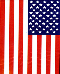 View U.S.A. Nylon Applique Flag 28"x48" (100% all weather nylon sewing stars & stripes w/ sleeve hanger & brass grommets) - 08001tg