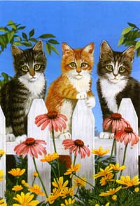 View Picket Fence Kittens Silk Reflections Flag 29"x43" - 131005EG