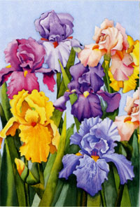 View Blooming Iris Silk Reflections Flag 29"x43" - 13688EG