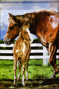 View Mare & Foal Silk Reflections Flag 29"x43" - 13762EG
