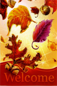 View Falling Leaves Silk Reflections Flag 29"x43" - 13859EG