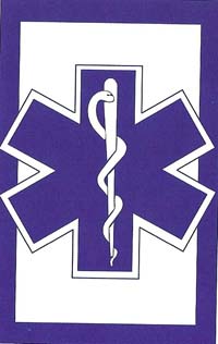 View EMT Applique Flag 28" x 44" - 151373eg