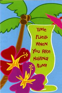 View Time Flies When You Are Having Rum Applique Flag 30"x44" - 15640EG