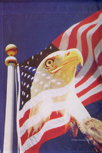 View National Pride Impressions Flag 28"x40" - 23778