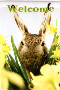 View Welcome Bunny with Daffodils Impressions Flag 28"x40" - 24831