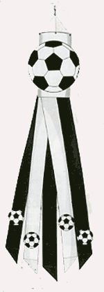 View Soccer Windsock 12"x60" - 28005TG