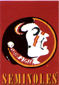 View Florida State University Screen Print Flag 28"x40" - 59615