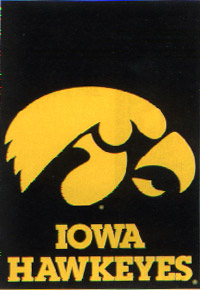View University of Iowa Flag 28"x40" - 59709