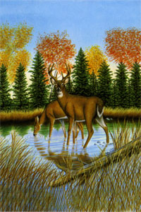 View Deer Pond Flag 28"x40" - 9040CD