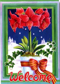 View Amaryllis Welcome Impressions Flag 28"x40" - 92419