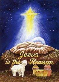 View Jesus is the Reason Flag 28"x40" - 9263CD