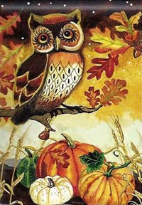 View Night Owl Garden Flag 12.5" x 18" - 32680MW