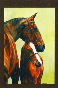 View Horse Flag 28"x40" - 9491CD