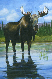 View Moose Flag 28"x40" - 9538CD