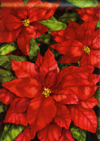 View Red Poinsettia Flag 28"x40" - 96514MW
