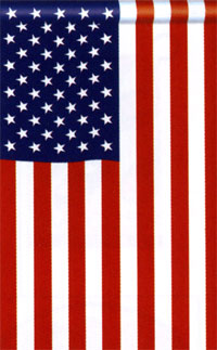 View American Flag 28"x40" - 97506MW