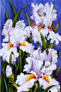 View White Iris Flag 28"x40" - 9808CD
