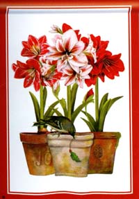 View Three Amaryllis Garden Flag 12.5"x18" - 39208MW