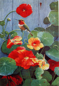 View Hummingbird & Nasturitum Flag 28"x40" - FC052CF