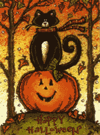 Hilltop Halloween Cat Flag 28x40