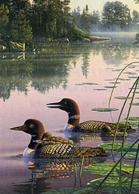 View Ducks Flag 28"x40" - FC284CF