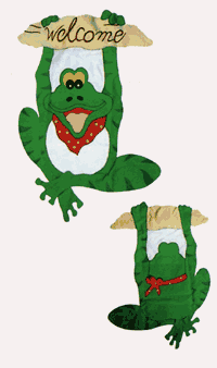 View Frog 3-D Windsock 36" Long - WSD60BF