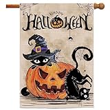 View Pinata Halloween Garden Flag 28x40, Black Cat Halloween House Flag, Pumpkin Lantern Halloween Decorations for Outdoor Yard Decor Burlap Seasonal Flag Fall Flag Happy Halloween Sign Banner for Flagpole - 