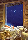 View Toland Home Garden Baby Jesus flag - 
