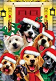 View Christmas Dogs - Garden Size, 12 Inch X 18 Inch, Decorative Double Sided Flag Printed in USA - Copyright and Licensed, Trademarked by Custom Décor Inc. - 
