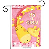 View Briarwood Lane It's A Girl Garden Flag Giraffes Baby Shower Welcome 12.5"x18" - 