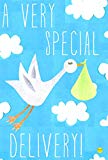 View Toland Home Garden Special Delivery Boy 12.5 x 18 Inch Decorative Newborn Baby Infant Stork Garden Flag - 