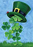 View Toland Home Garden 101162 Shamrock Shower Decorative St Patrick's Day Clover Leprechaun Top Hat, House Flag 28 x 40 Inch - 